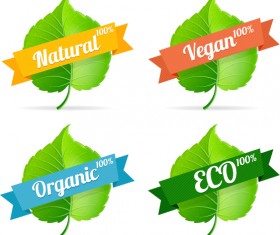 Green leavef with Eco labels vector