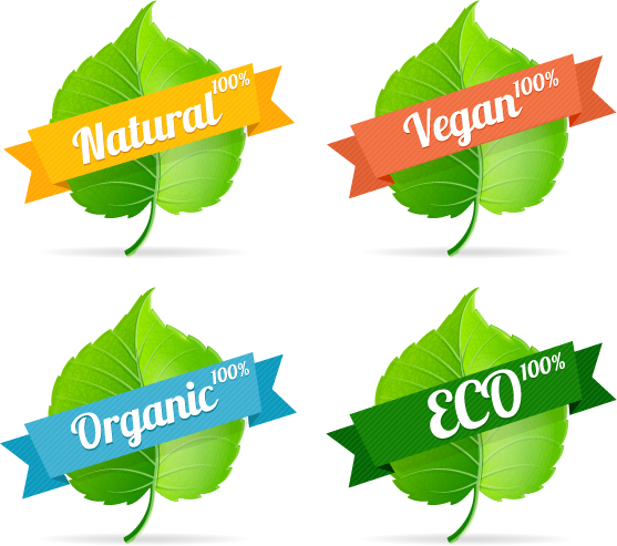 Green leavef with Eco labels vector