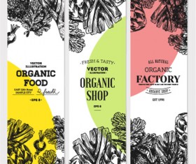 Hand drawn floral banners vectors illustration 08