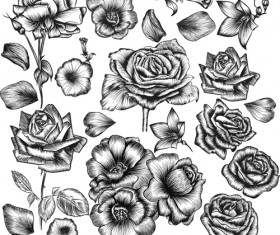 Hand drawn flower vector material