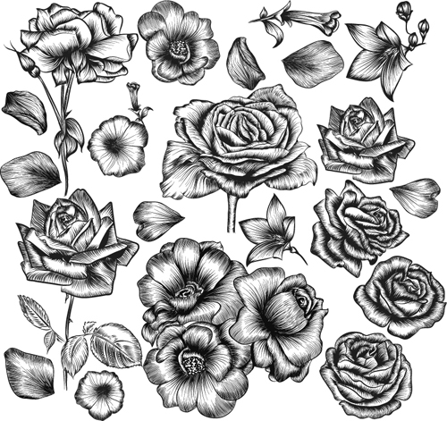 Hand drawn flower vector material