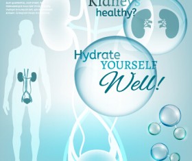 Healthy kidneys infographics vector 01