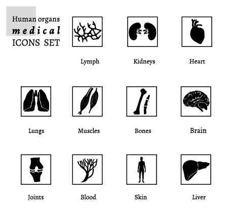 Human organs medical icons set