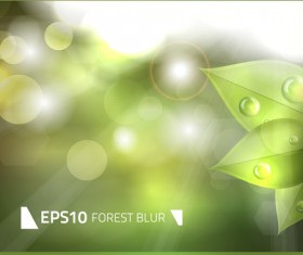 Leaf with light shiny background vector 01