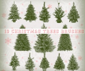 Realistic christmas trees brushes