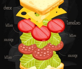 Sandwich Ingredients design vector 02