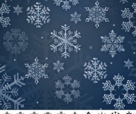 Set of Snowflakes Brushes abr