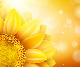 Sunflower flower with bokeh vector background 01
