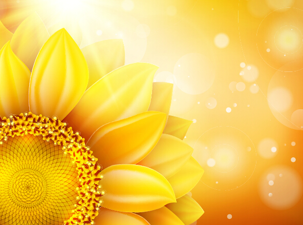 Sunflower flower with bokeh vector background 01
