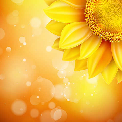 Sunflower flower with bokeh vector background 02