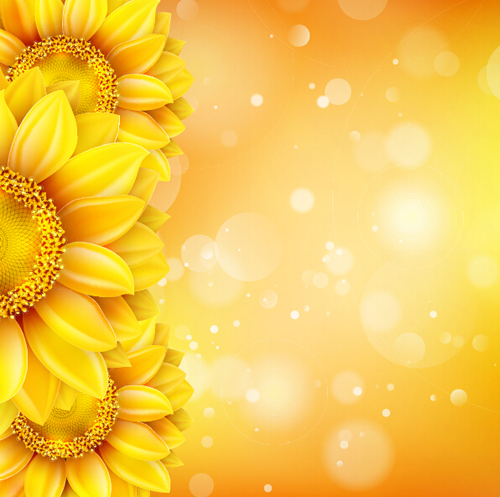 Sunflower flower with bokeh vector background 04
