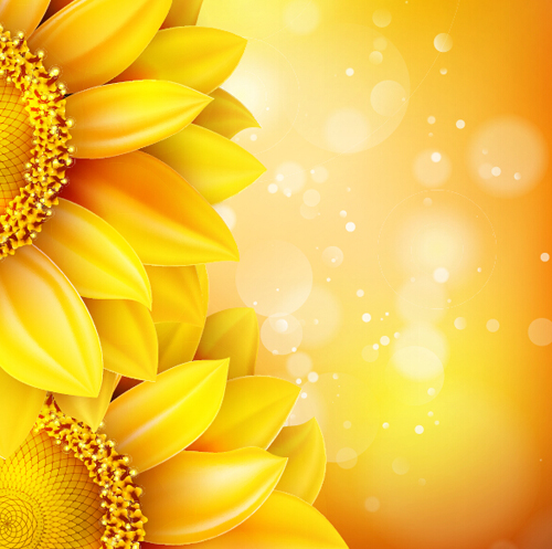 Sunflower flower with bokeh vector background 06