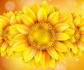 Sunflower flower with bokeh vector background 07