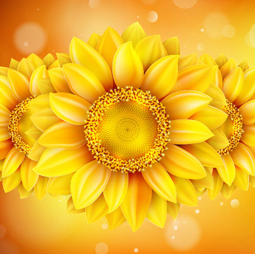 Sunflower flower with bokeh vector background 07