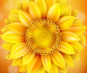 Sunflower flower with bokeh vector background 08