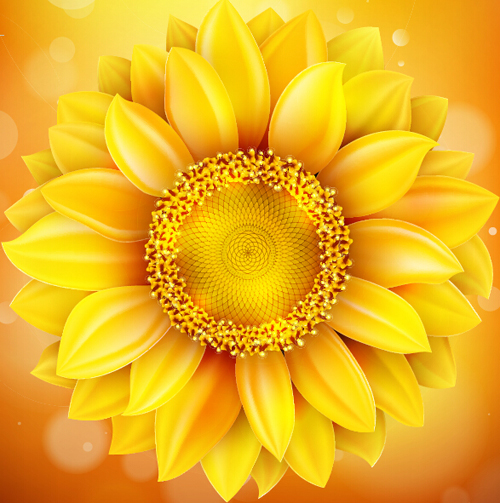 Sunflower flower with bokeh vector background 08