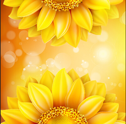 Sunflower flower with bokeh vector background 09