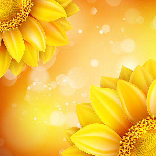 Sunflower flower with bokeh vector background 10