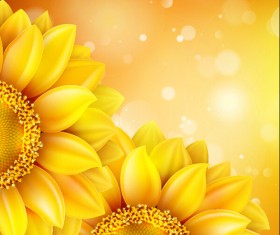 Sunflower flower with bokeh vector background 11