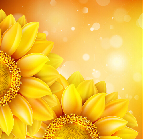 Sunflower flower with bokeh vector background 11