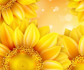 Sunflower flower with bokeh vector background 12