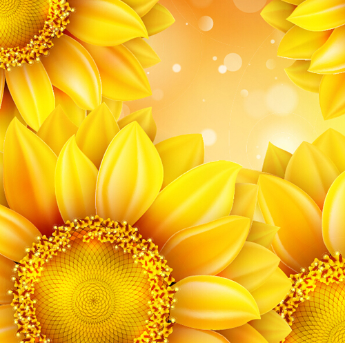 Sunflower flower with bokeh vector background 12
