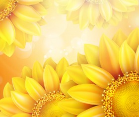 Sunflower flower with bokeh vector background 13