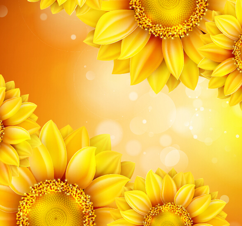 Sunflower flower with bokeh vector background 14