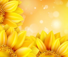 Sunflower flower with bokeh vector background 15