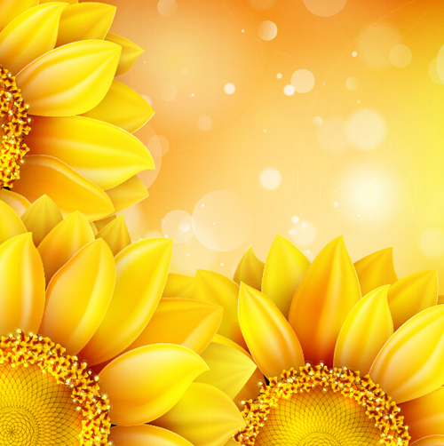 Sunflower flower with bokeh vector background 15