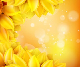 Sunflower flower with bokeh vector background 17