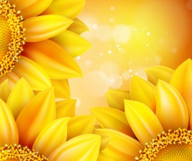 Sunflower flower with bokeh vector background 18