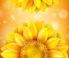 Sunflower flower with bokeh vector background 19