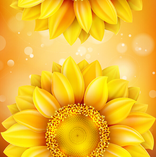 Sunflower flower with bokeh vector background 19