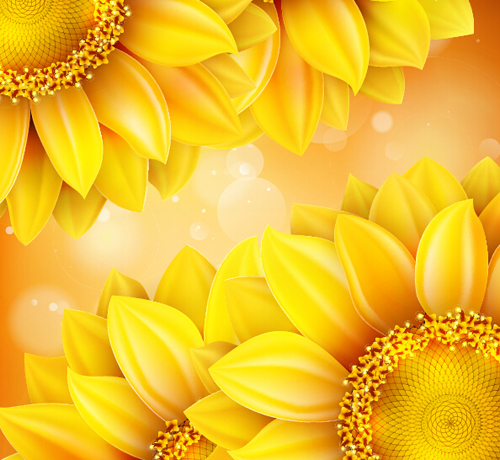 Sunflower flower with bokeh vector background 20
