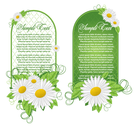 Vector card with white flower