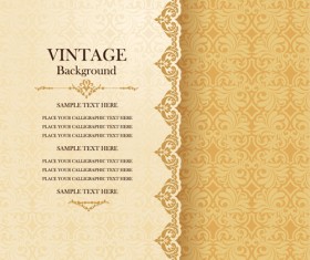 Vintage background with decor floral vector 03