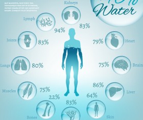 Water in human body infographic vector 01