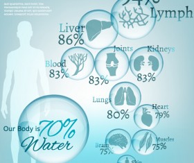 Water in human body infographic vector 02