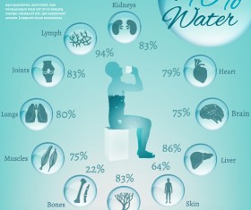 Water in human body infographic vector 03