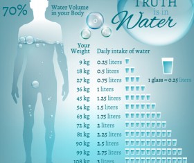 Water in human body infographic vector 05