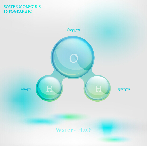 Water molecule infographics creative vectors set 04
