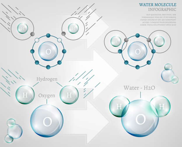 Water molecule infographics creative vectors set 09