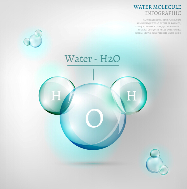 Water molecule infographics creative vectors set 10