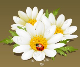 White flower and ladybug vector material