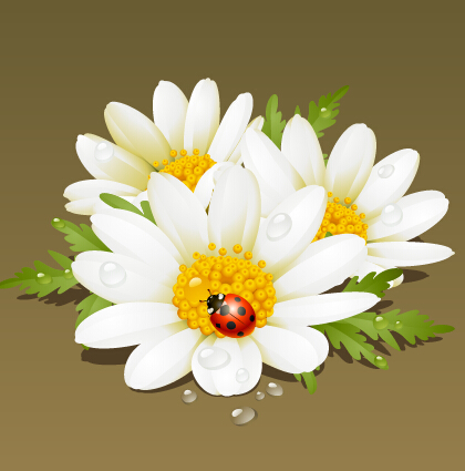 White flower and ladybug vector material