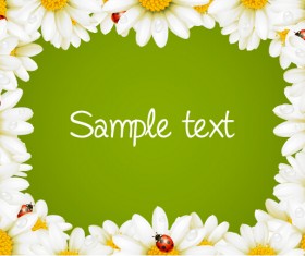 White flower frame vector