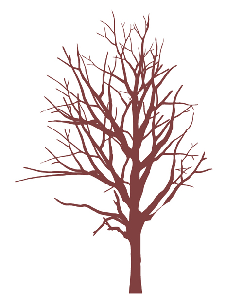 Winter tree branches photoshop brushes