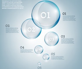 transparent bubble with Eco infographics vector