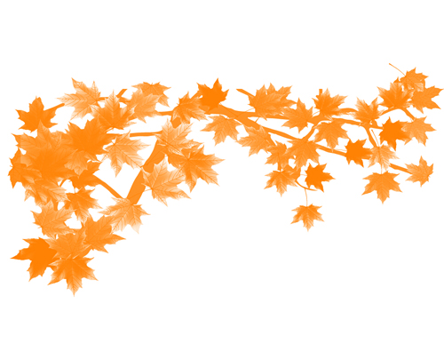 Autumn Maple Leaf Photoshop brushes
